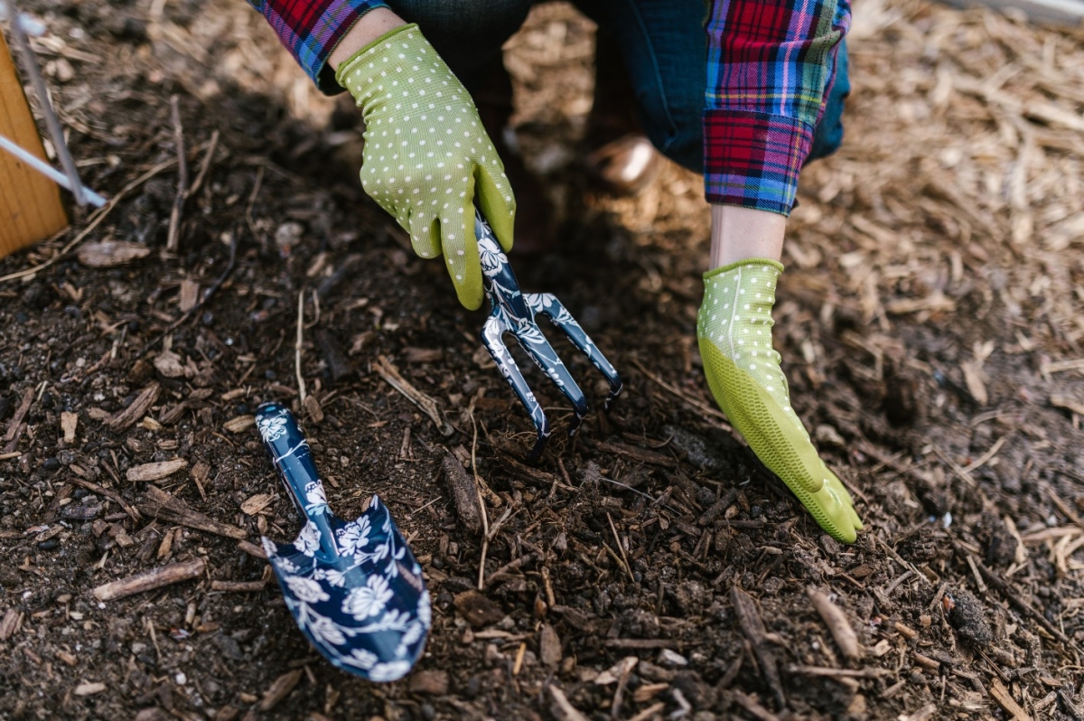 Pierwsze wiosenne prace ogrodowe – jak przygotować ogród na nowy sezon?