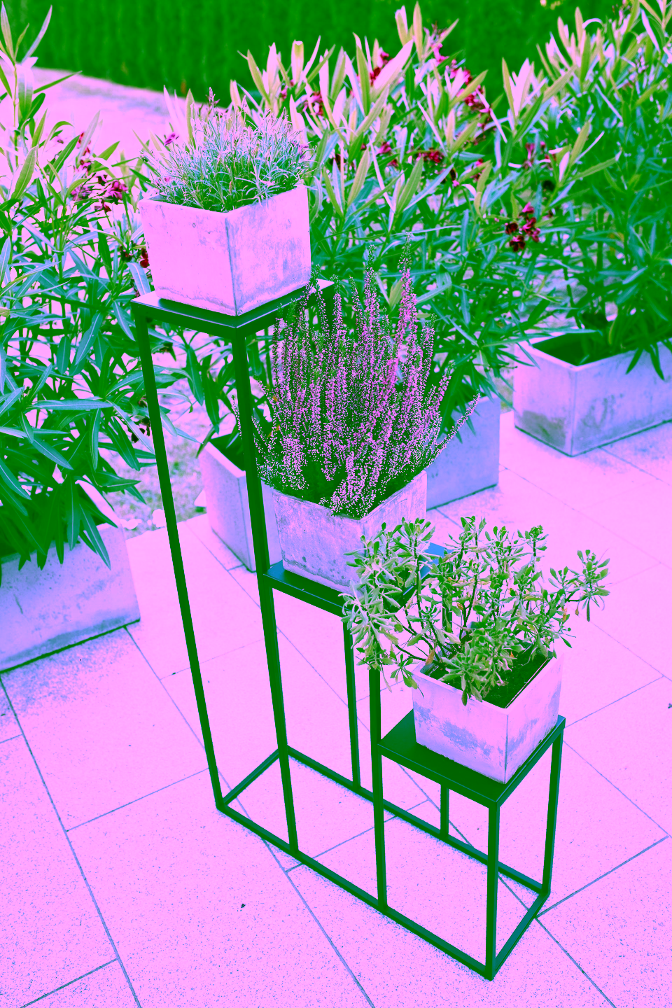 Kwietnik Schodowy Simple - aranżacja wnętrza