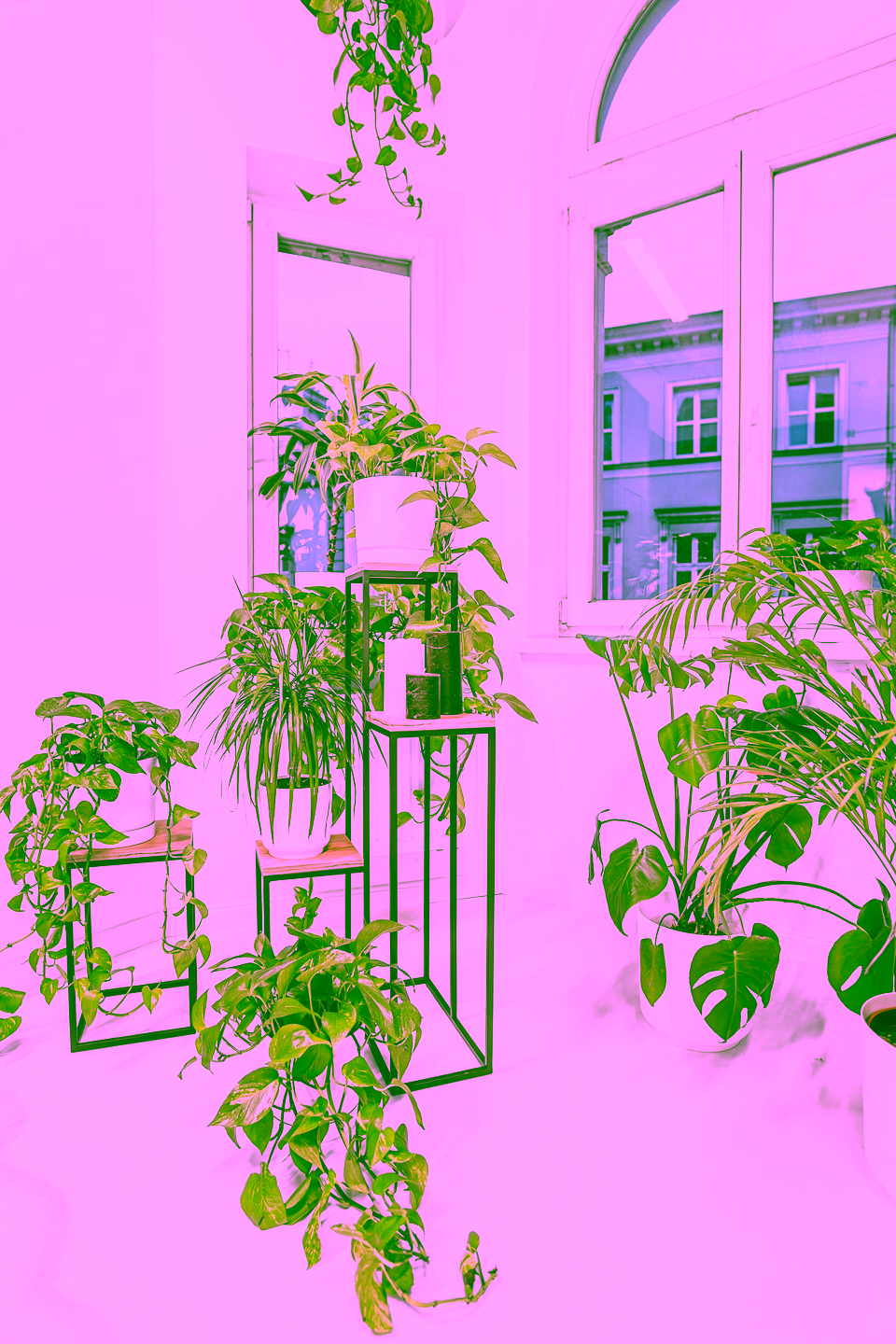 KWIETNIK Z PŁYTĄ DĄB Craft 40 - aranżacja wnętrza