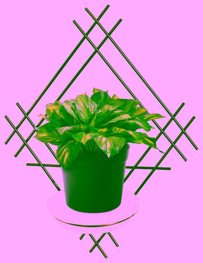 Kwietnik na ścianę kratka