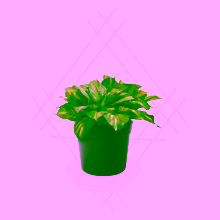 Kwietnik na ścianę Model:82