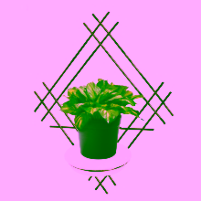 Kwietnik na ścianę Model:82