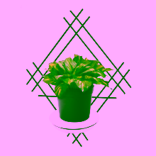 Kwietnik na ścianę Model:82