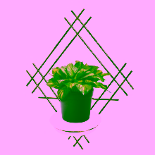 Kwietnik na ścianę Model:82