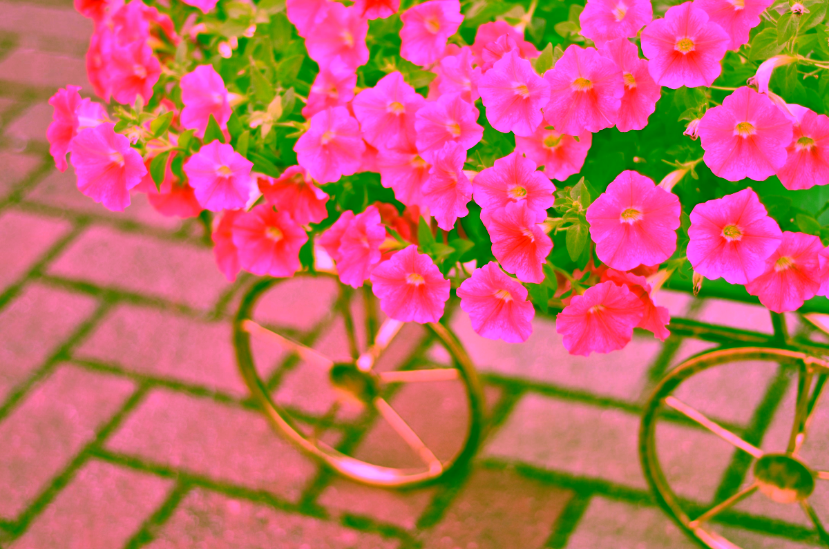 Kwietnik Wózek do Model:46