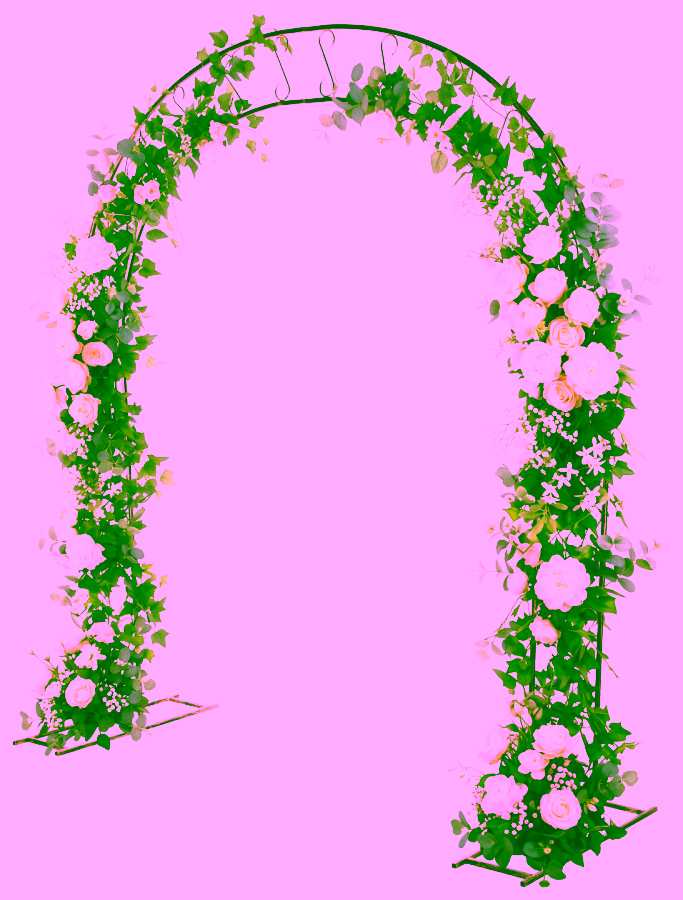 Metalowa brama ogrodowa/weselny łuk