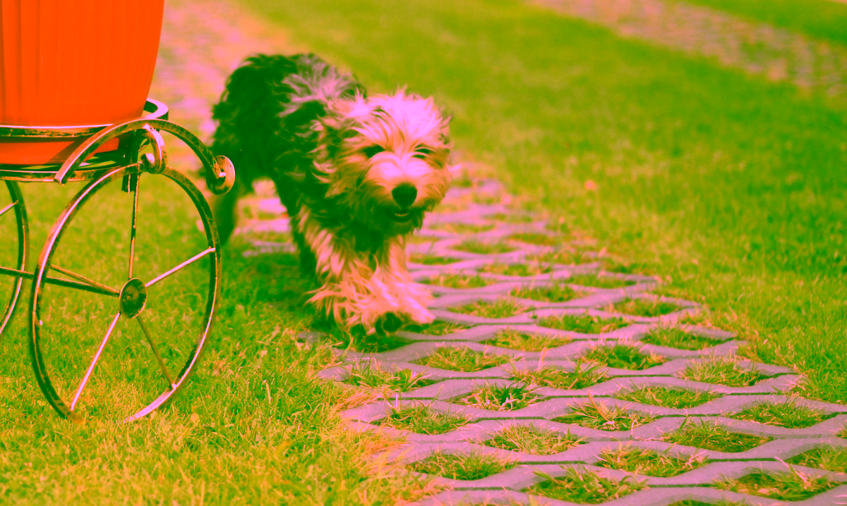 Metalowy kwietnik rower Model:134