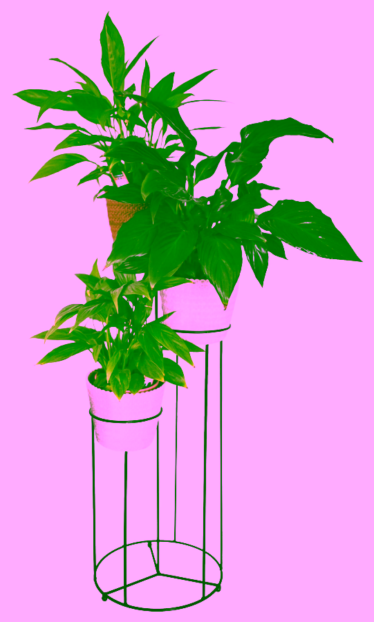 Metalowy kwietnik stojący na trzy doniczki - TRIO