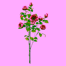 Palik - podpora Model:318