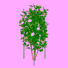 Podpora do krzewów, Model:323