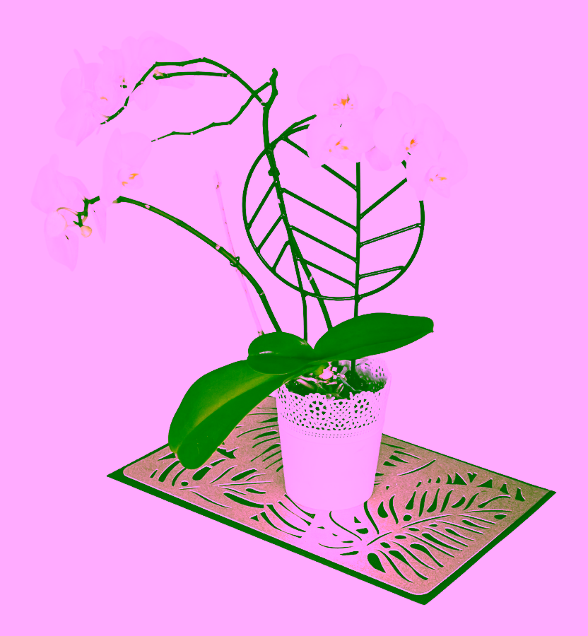 Podpora do roślin doniczkowych - AŻUR