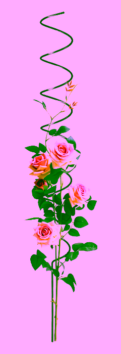 Podpora do roślin Model:365