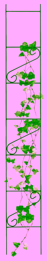 Podpora wysoka do roślin i krzewów - 180 cm.