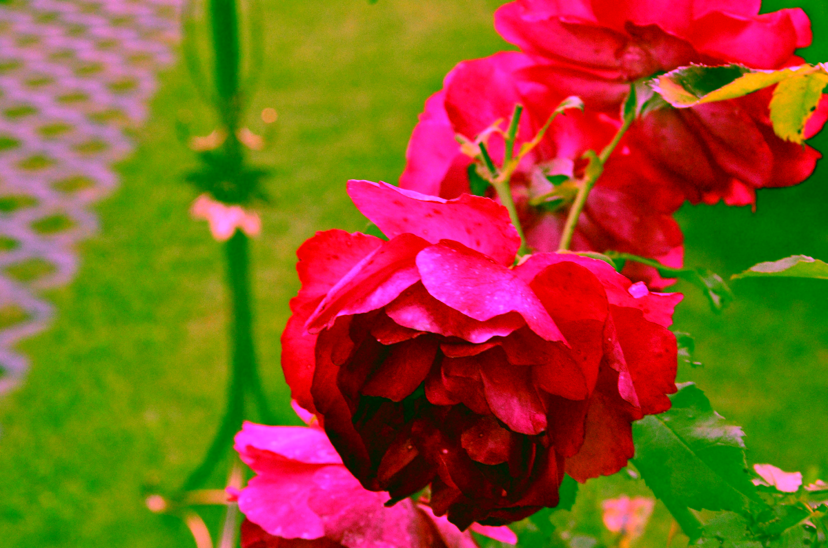 Pojedynczy kwietnik. Metalowy Model:201