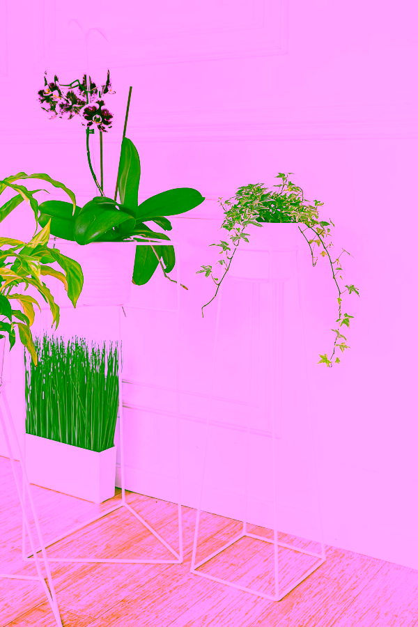 Pojedynczy stojak na Model:561-ba252