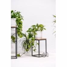 Stojak na kwiaty. Model:648