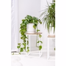 Stojak na kwiaty. Model:648