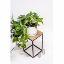 Stojak na kwiaty. Model:648